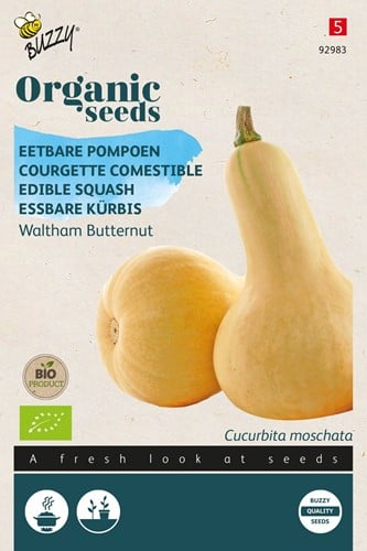 Eetbare Pompoen Waltham Butternut – Buzzy Organic Seeds