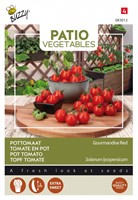 Tomaat Gourmandise Red - Buzzy Patio Vegetables