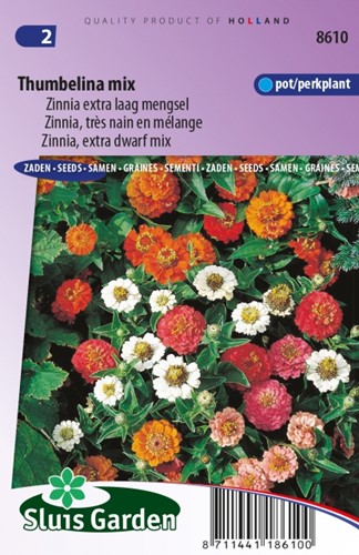 Zinnia Thumbelina mix - Zinnia Elegans
