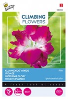 Klimmende Winde Pink - Climbing Flowers