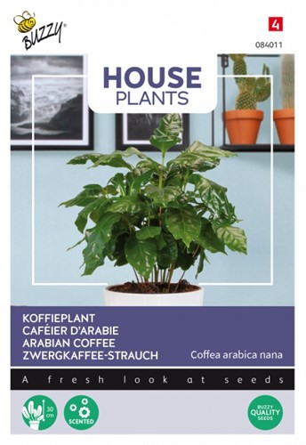 Koffieplant - Buzzy House Plants