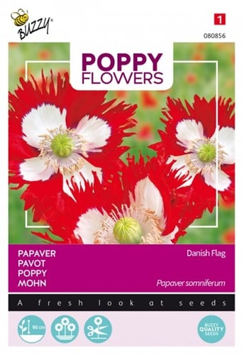 Papaver Deense Vlag - Buzzy Poppy Flowers