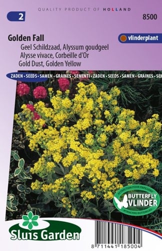 Alyssum Golden Fall – Geel Schildzaad