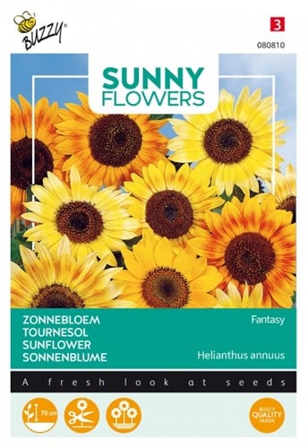 Lage Zonnebloemen Fantasy - Sunny Flowers