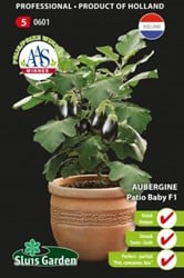 Aubergine Patio Baby F1