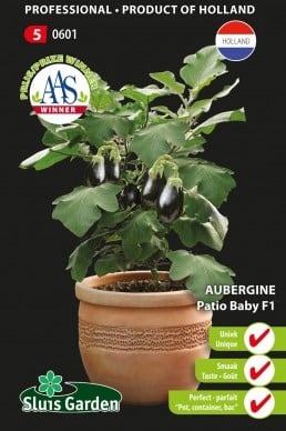 Aubergine Patio Baby F1
