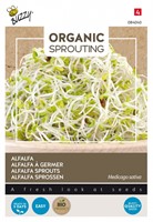 Organic sprouting Alfalfa / Luzerne BIO - Buzzy