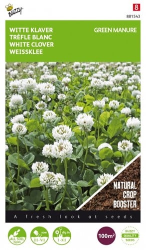 Groenbemester Witte Klaver / 100 gr - 100 m2