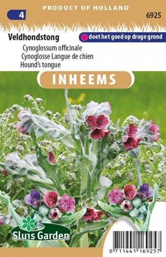 Veldhondstong - Cynoglossum officinale