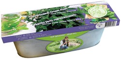 Zinken Teil Groene Munt