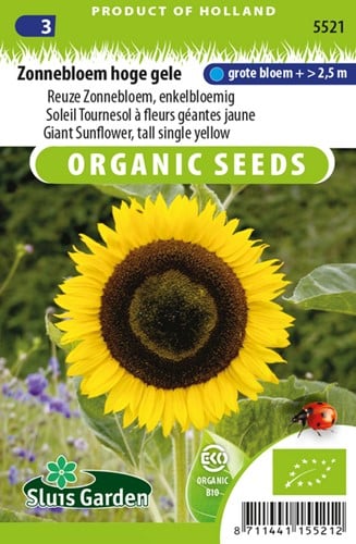 Zonnebloem Hoge gele EKO