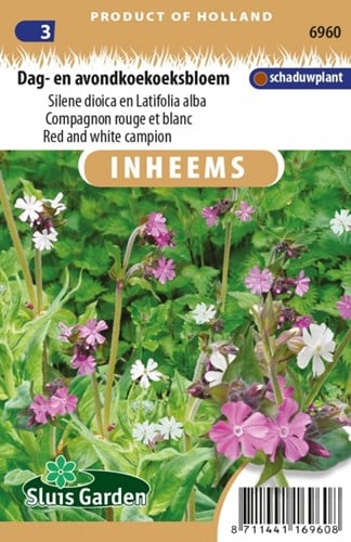 Dag- en Avondkoekoeksbloem - Silene