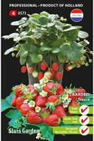 Aardbei Tresca - Fragaria