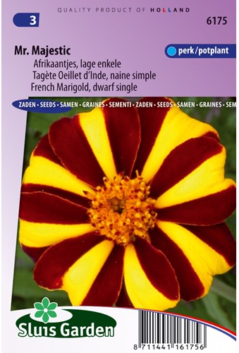 Afrikaantjes zaden Mr. Majestic - Tagetes