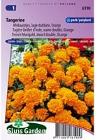 Afrikaantjes Tangerine - Tagetes