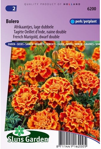 Afrikaantjes zaden Bolero - Tagetes