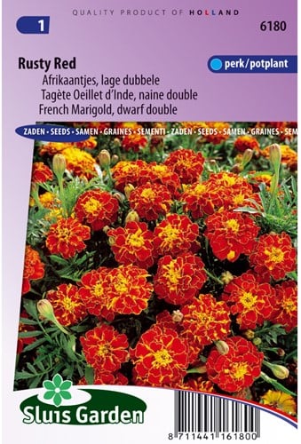 Afrikaantjes zaden Rusty Red - Tagetes