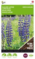 Groenbemester Lupine / 100gr - 10 m2