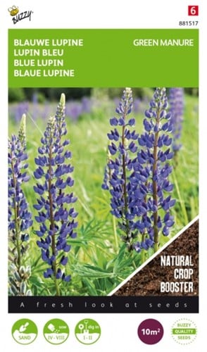 Groenbemester Lupine / 100gr - 10 m2