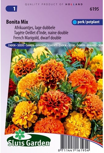 Afrikaantjes zaden Bonita mix - Tagetes