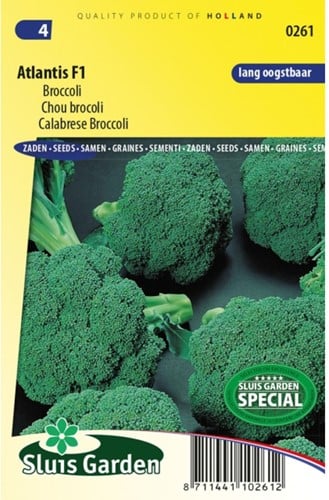 Broccoli Calabrese Atlantis F1