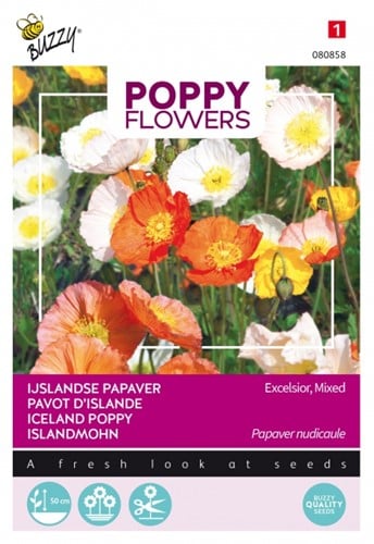 Ijslandse Papaver Excelsior - Poppy Flowers