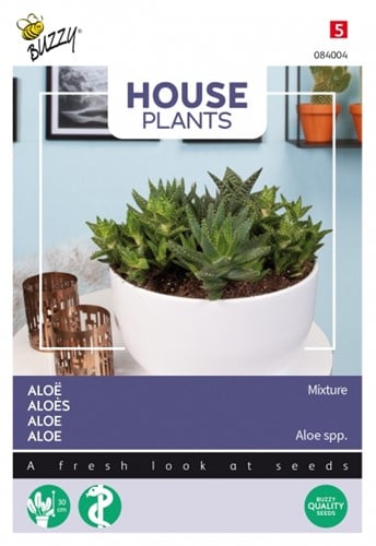 Aloë Gemengde Soorten - Buzzy House Plants