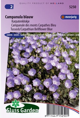 Klokjesbloem enkelbloemig Blauw (Campanula)