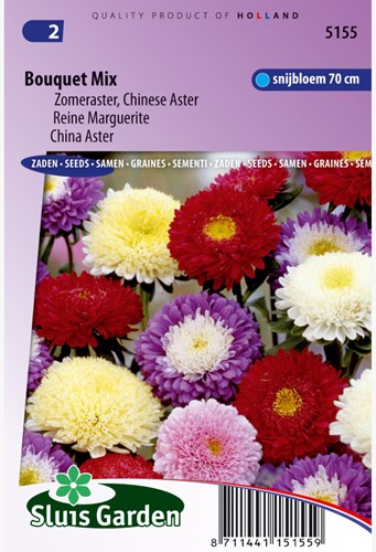 Aster Boeket - Zomeraster Bouquet Mix