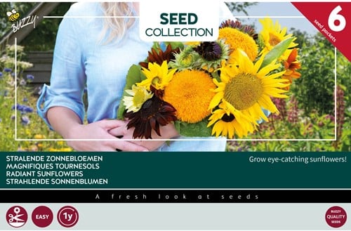 6 Stralende zonnebloemen – Buzzy Collection