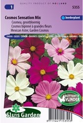 Cosmos Sensation Mix