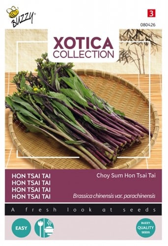 Choy Sum Hon Tsai Tai - Xotica Collection