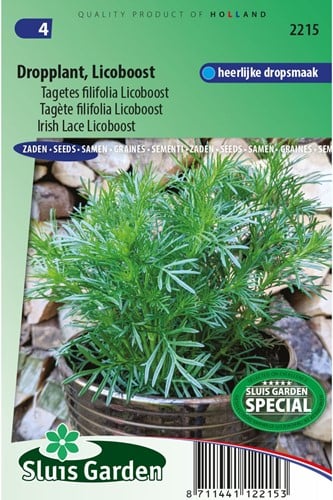 Dropplant Licoboost - Tagetes filifolia