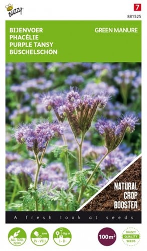 Groenbemester Phacelia / 100gr - 100 m2