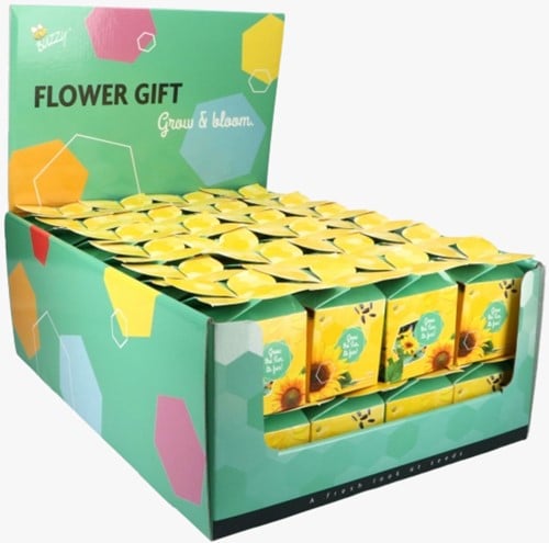 Buzzy Flower Gift (48x) Zonnebloem – Helianthus (Display 48x)