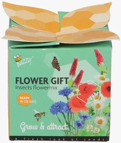 Buzzy Flower Gift Insecten Bloemen mix (1 Geschenkdoosje)