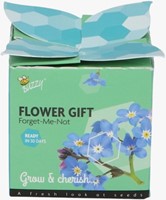 Buzzy Flower Gift (48x) Vergeet-me-nietje – Myosotis (Display 48x)-3