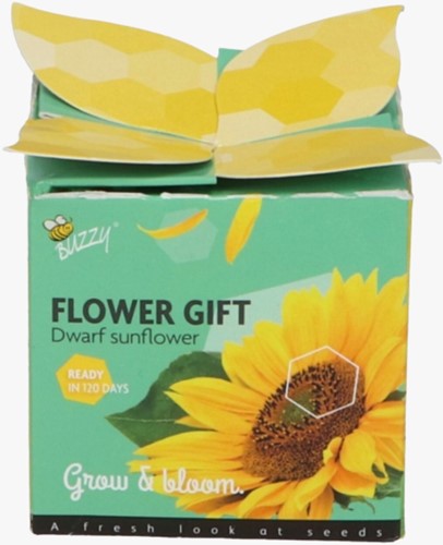 Buzzy Flower Gift Zonnebloem – Helianthus. 1 Geschenkdoosje. 