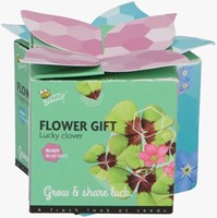 Buzzy Flower Gift (Display 48x) Klavertje Vier - Trifolium-2