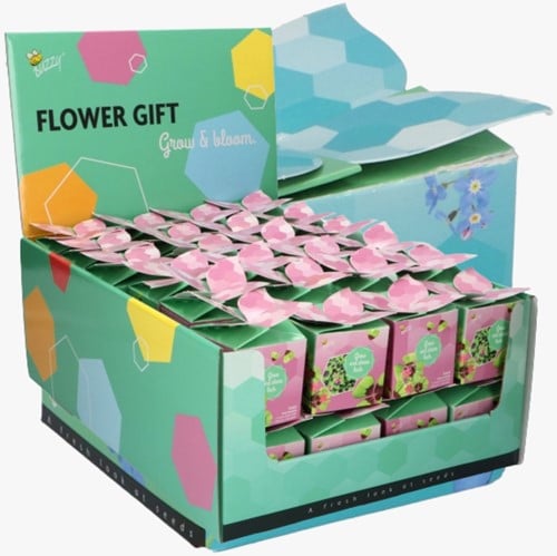Buzzy Flower Gift (48x) Klavertje Vier - Trifolium (Display 48x)