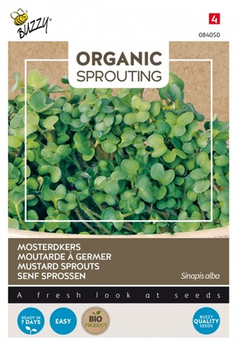Mosterdkers - Buzzy Organic Sprouting