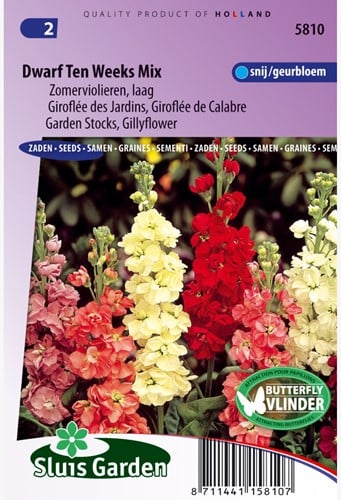 Zomerviolier Dwarf Ten Weeks Mix - Matthiola