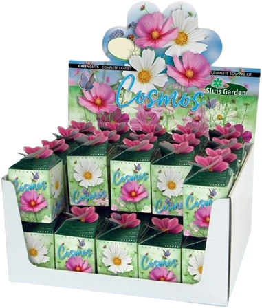 Greengift Cosmos Mix 40 stuks in showdoos
