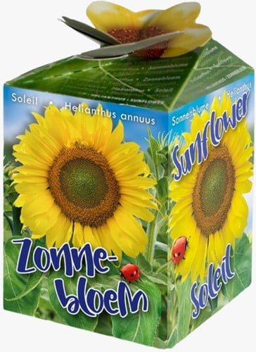 Zonnebloem Greengift