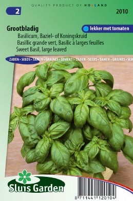Basilicum Grove - Ocinum - Basilicum - 625 zaden