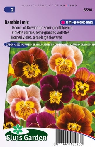 Hoornviooltje Bambini Mix – Viola Cornuta