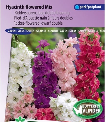 Ridderspoor Hyacinth bloemige Mix (Delphinium)