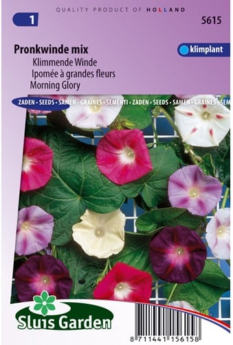 Klimmende Winde Choice Mixed - Ipomoea