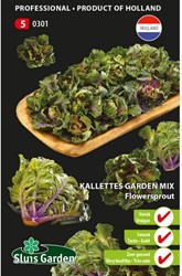 Kalettes garden mix - Flowersprout