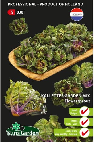 Kalettes garden mix - Flowersprout